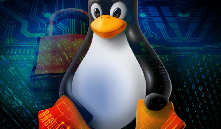 Ubuntu 20.04 LTS non utilizzerà il kernel 5.5 di Linux