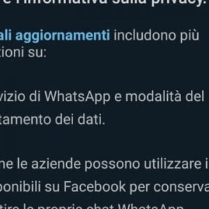 WhatsApp, il Garante bacchetta la piattaforma: “Informativa poco chiara”